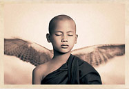 Ashes and Snow by Gregory Colbert